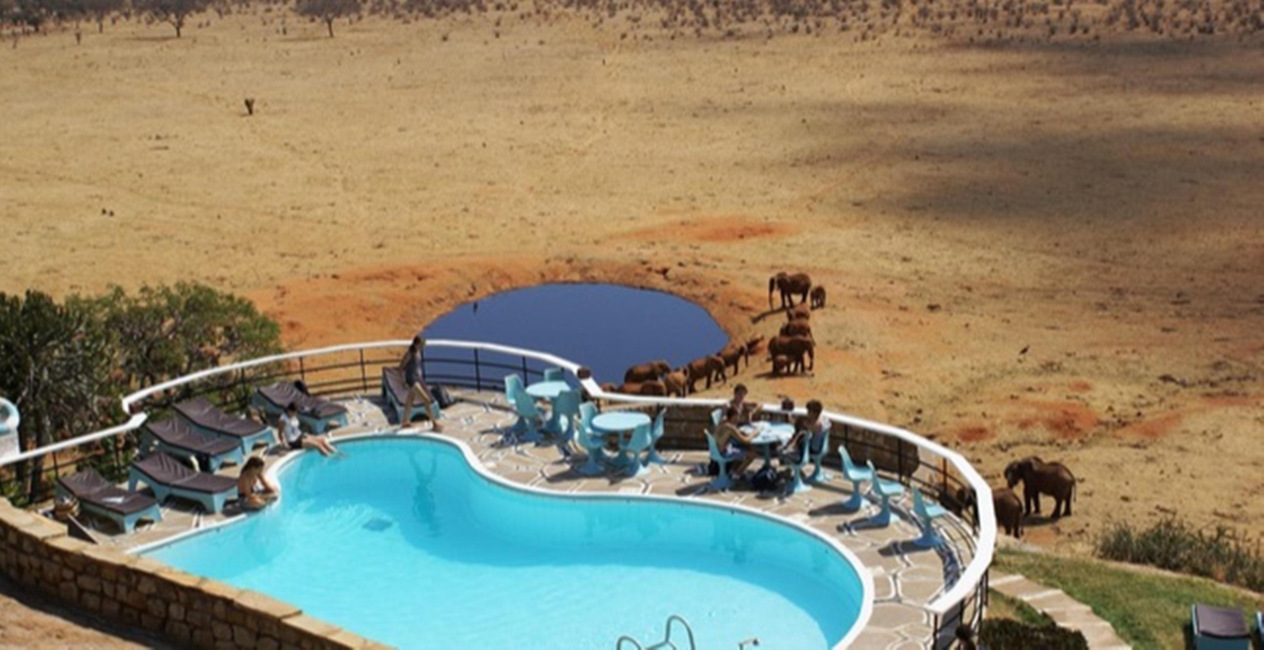 Voi Safari Lodge エクステリア 写真